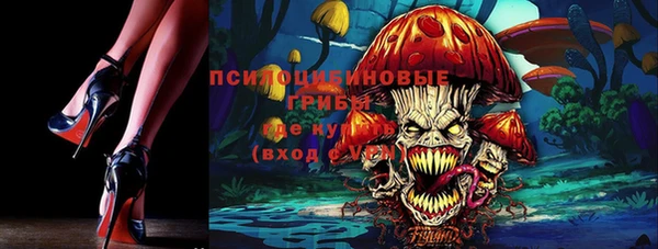 эйфоретик Зерноград