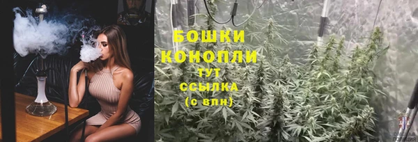 эйфоретик Зерноград