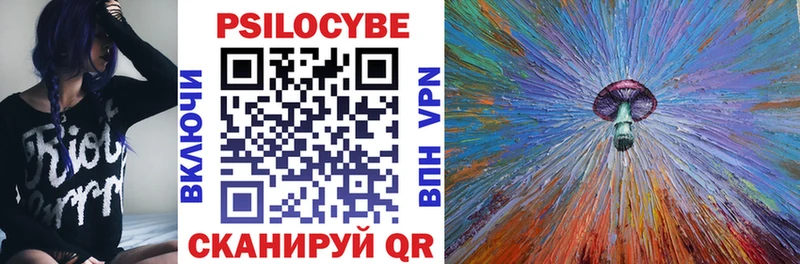 Псилоцибиновые грибы Psilocybine cubensis  МЕГА ссылки  Камызяк 