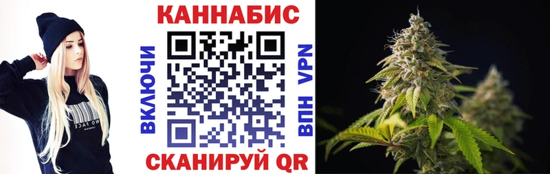 купить закладку  Камызяк  Каннабис конопля 